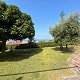 Annunci Immobiliari