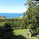 Annunci Immobiliari